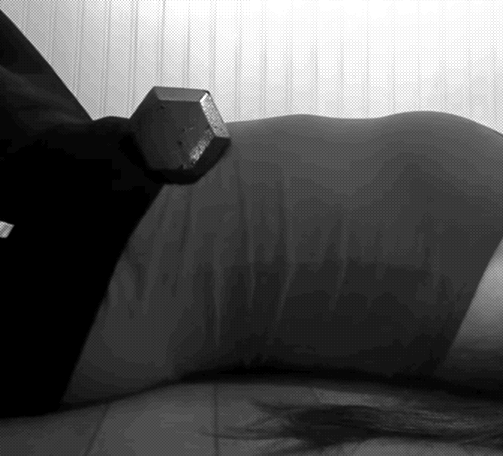 Diaphragm Extension example Diaphragm Extension exercise demonstration using 10-lb weight